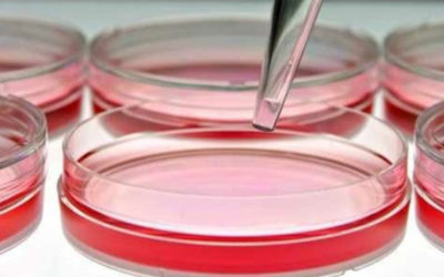 PLASMADERIVATI: dal 2013 donati 27 milioni di unità