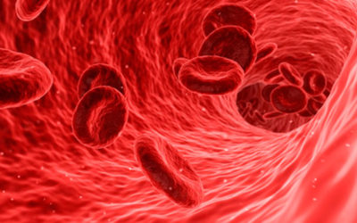 In Europa 25 milioni di trasfusioni ogni anno