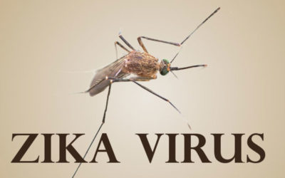 Zika Virus: sospensione temporanea dalle donazioni per 28 giorni